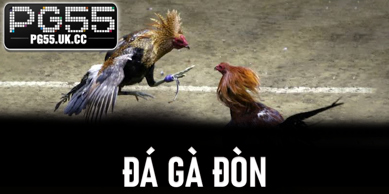 Đá Gà Đòn
